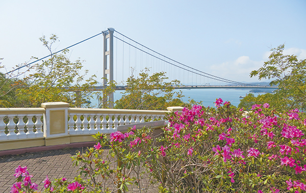 賞橋又賞花