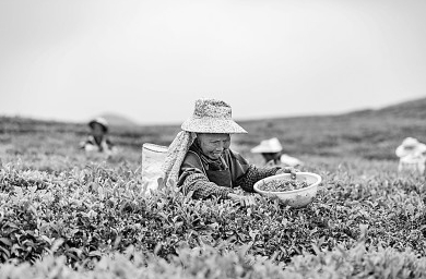 你可知道，一年365天有多少值得关注的日子