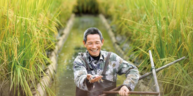 各地各部門千方百計保障貧困家庭勞動力就業