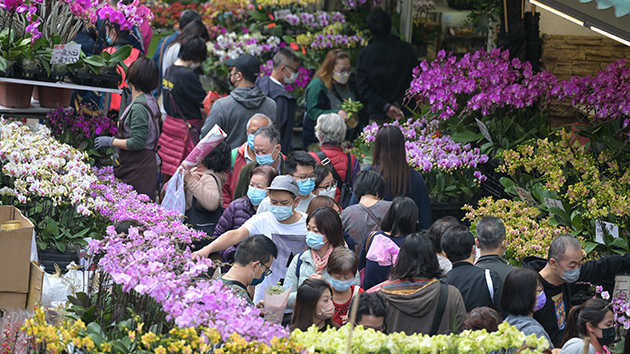 有花農稱取消花市致損失160萬 冀市民支持本地花農