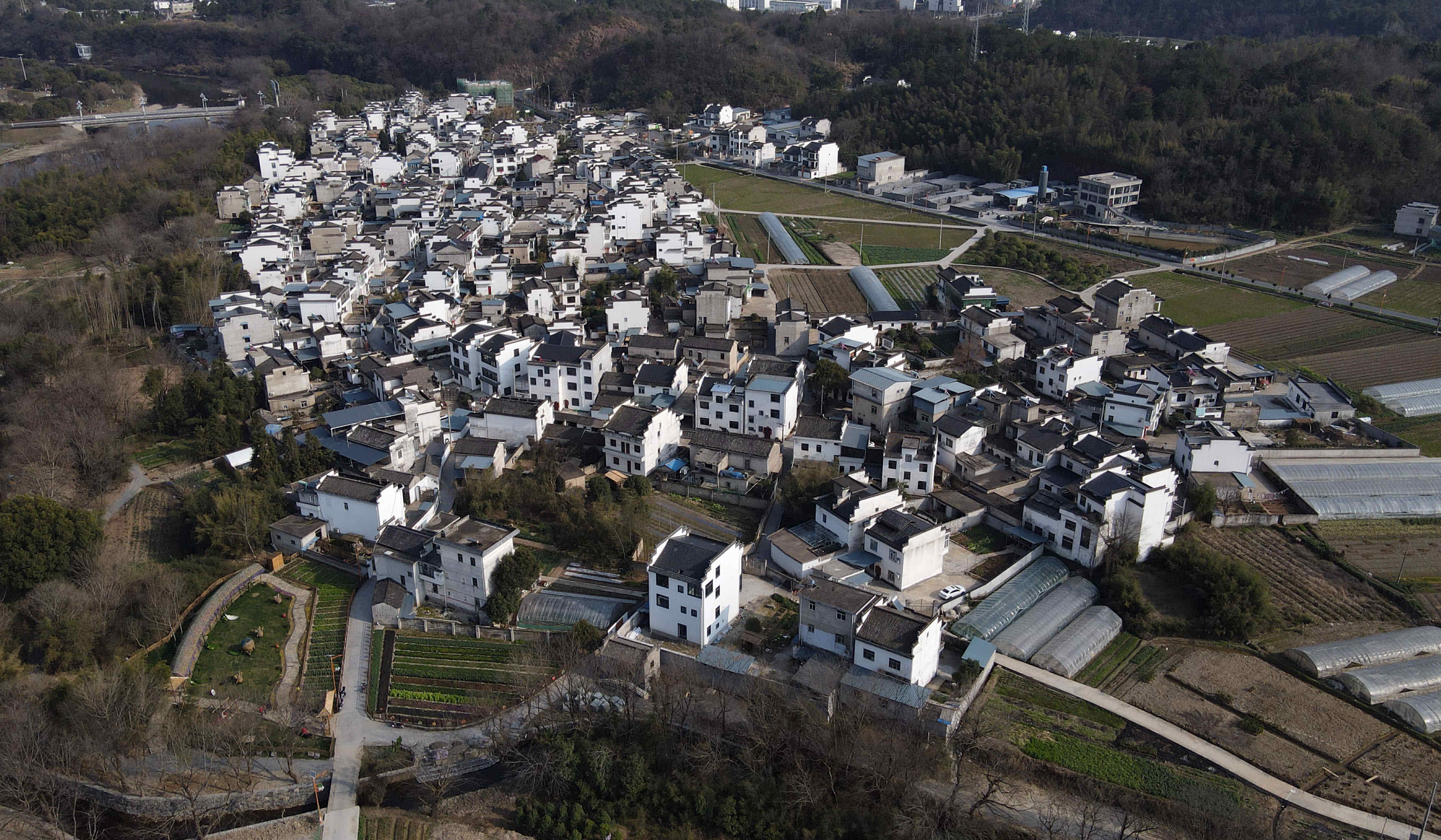 【聲音】姚順武代表：推進黃山創建「兩山」基地