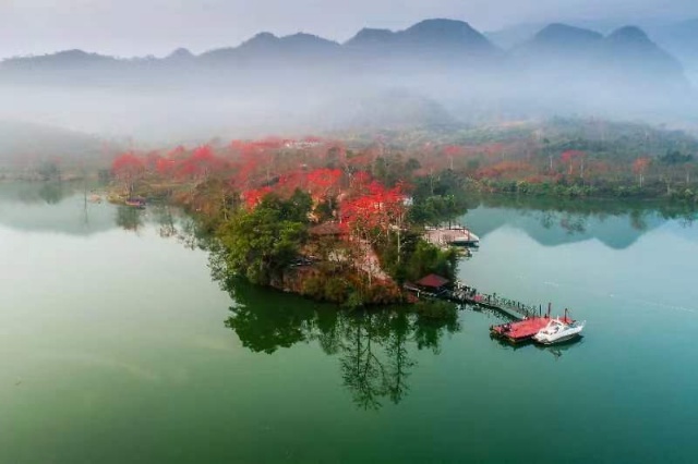 春賞木棉！海南昌江啟動旅遊系列文化活動