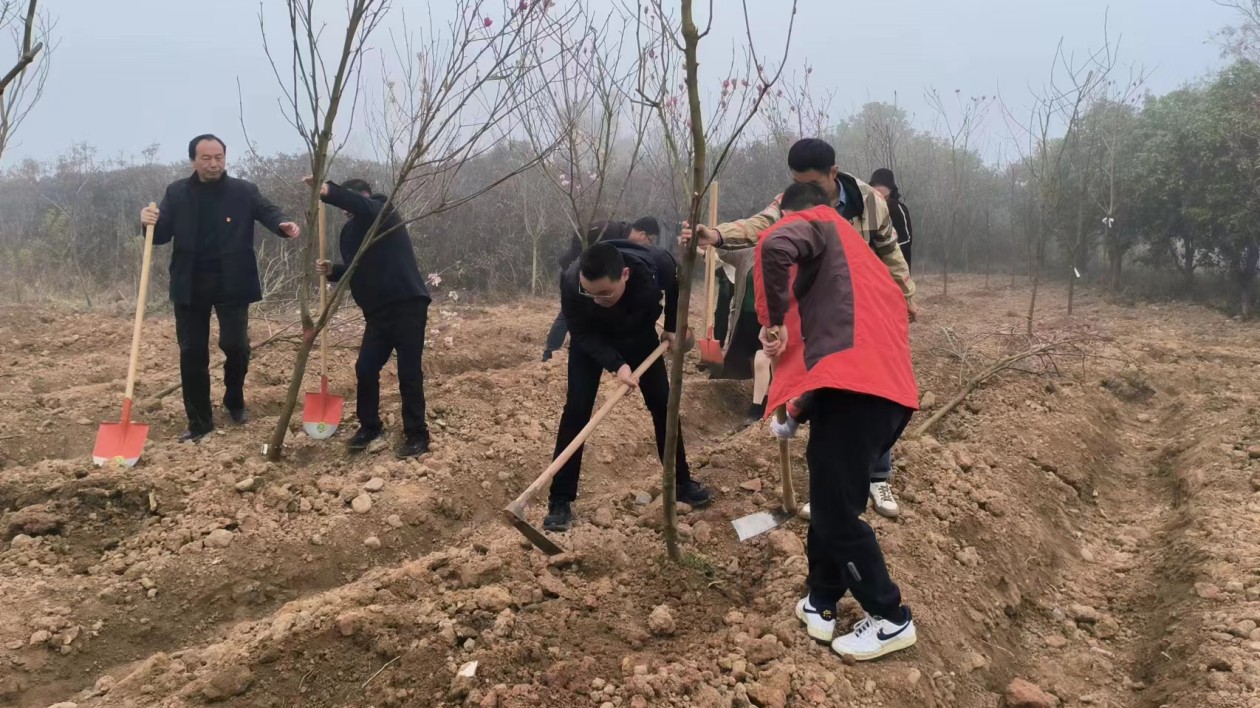 新安廊道添新綠  皖屯溪植樹造林護青山