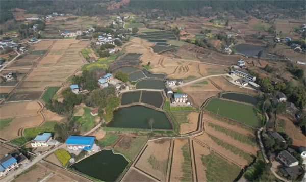 四川江油：以高標準農田建設築牢天府糧倉「耕」基