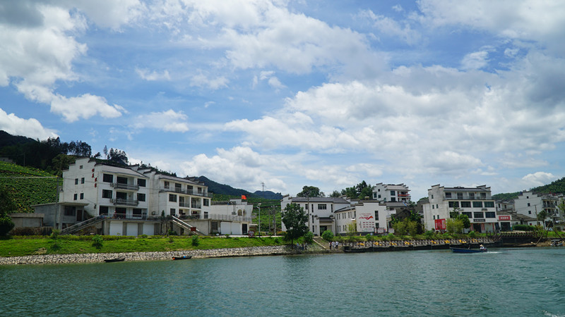 家庭「小美」聚鄉村「大美」  皖黃山區「美麗庭院」如畫境