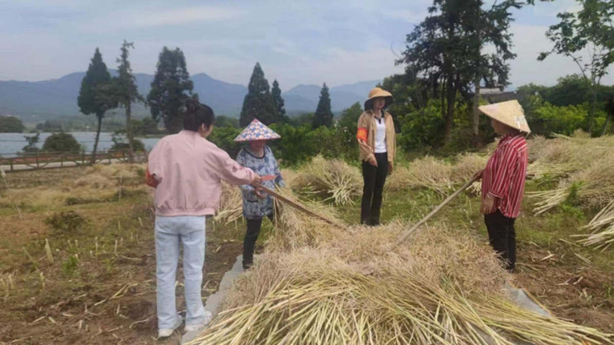 皖黟縣：「秸」盡全力築牢禁燒「防火牆」