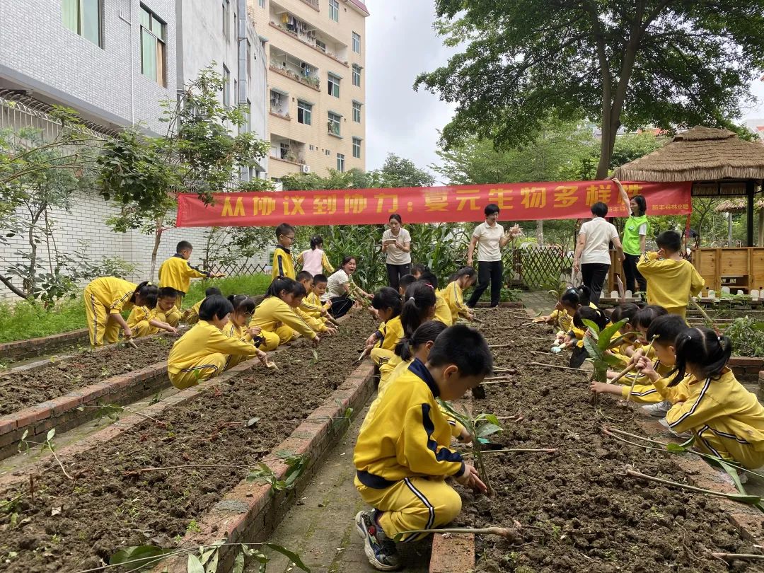 植「綠」於心  廣東新豐推動自然教育進校園