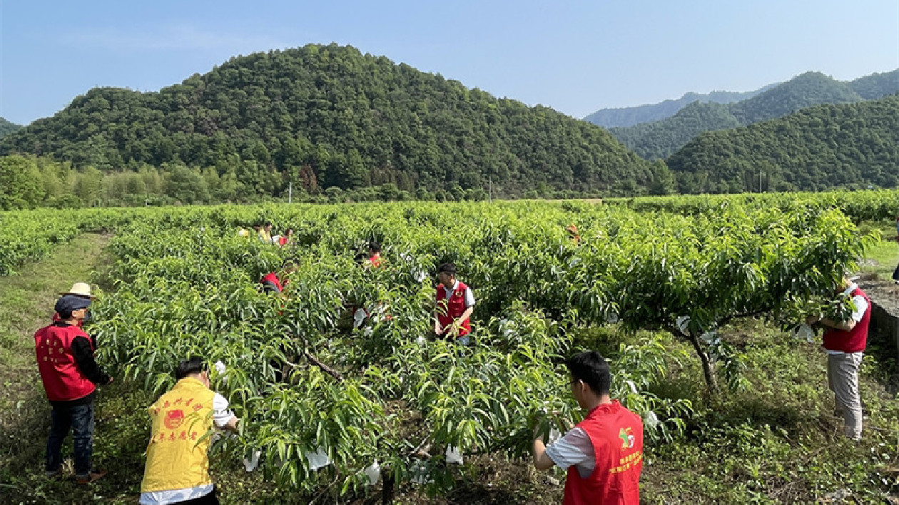 皖黟縣：打造鄉村振興黟西北「宏潭樣板」