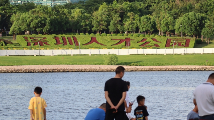 圖集｜深圳人才公園休閒好去處 群英薈聚求賢閣與星光橋