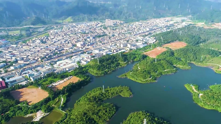 聚焦坪山產業發展新政①丨強心穩鏈，促進產業集群梯度培育體系