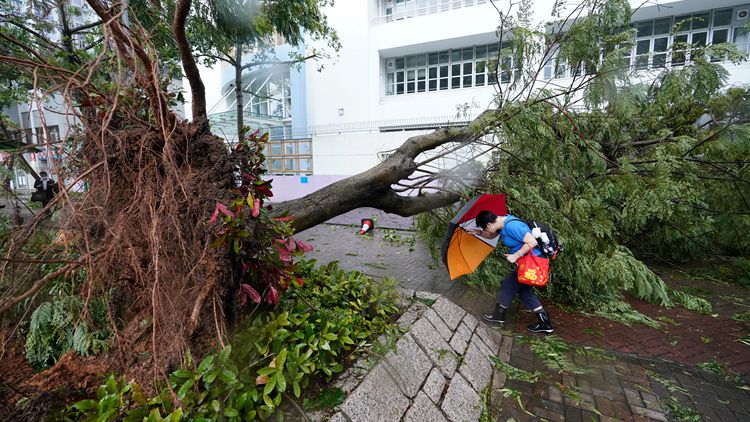 【追蹤報道】截至上午9時 63人風暴期間受傷求診