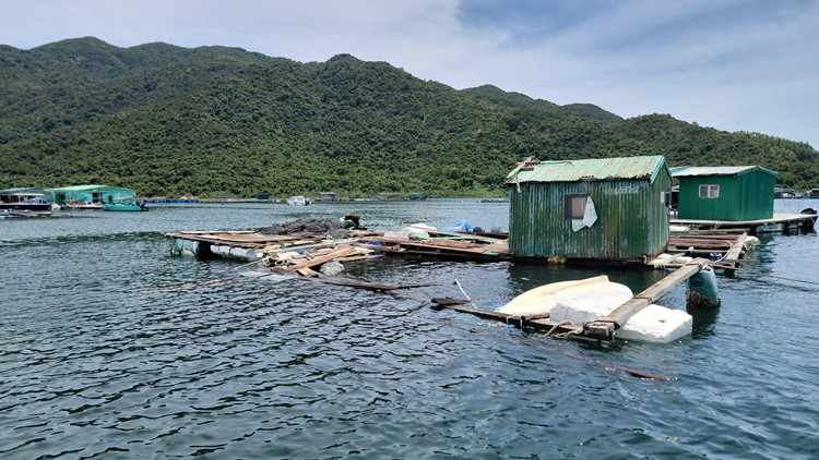 受雨災影響農戶、養魚戶及漁民明起可申請緊急救援基金