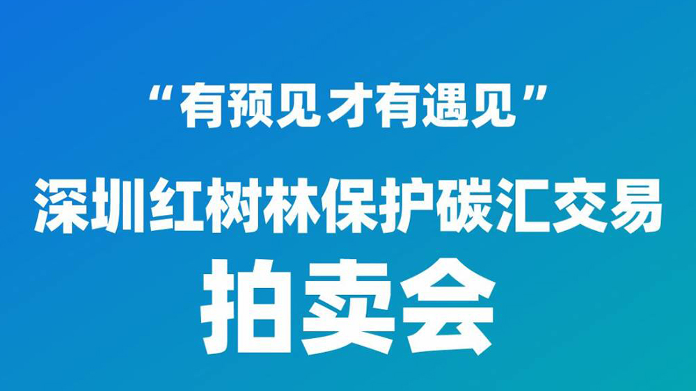 直播預告｜9月26日15:00，深圳紅樹林保護碳匯交易拍賣會