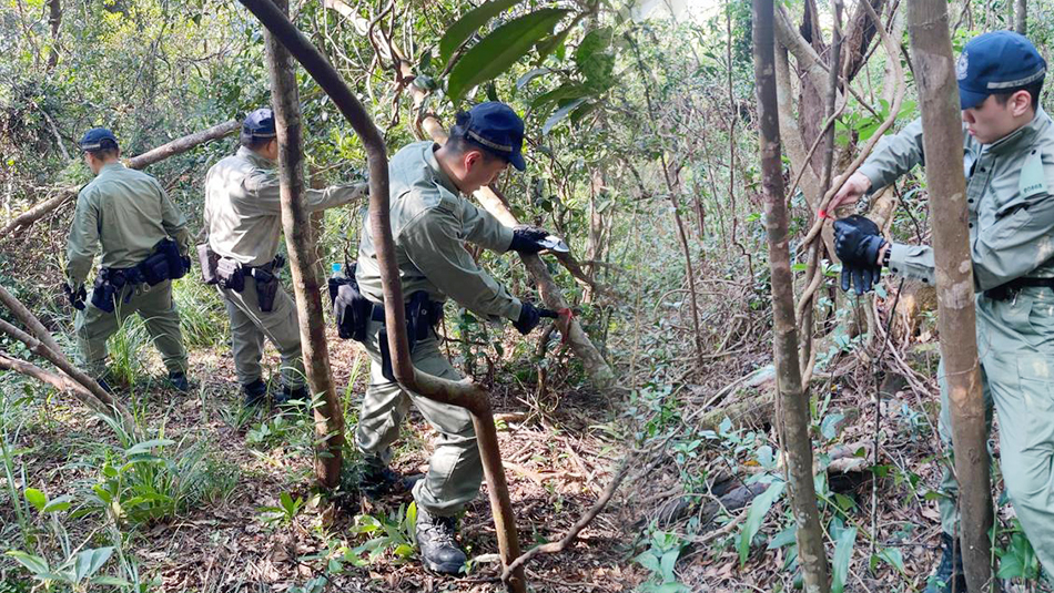 將軍澳山坡匪徒標記路線 警方呼籲市民提防爆竊