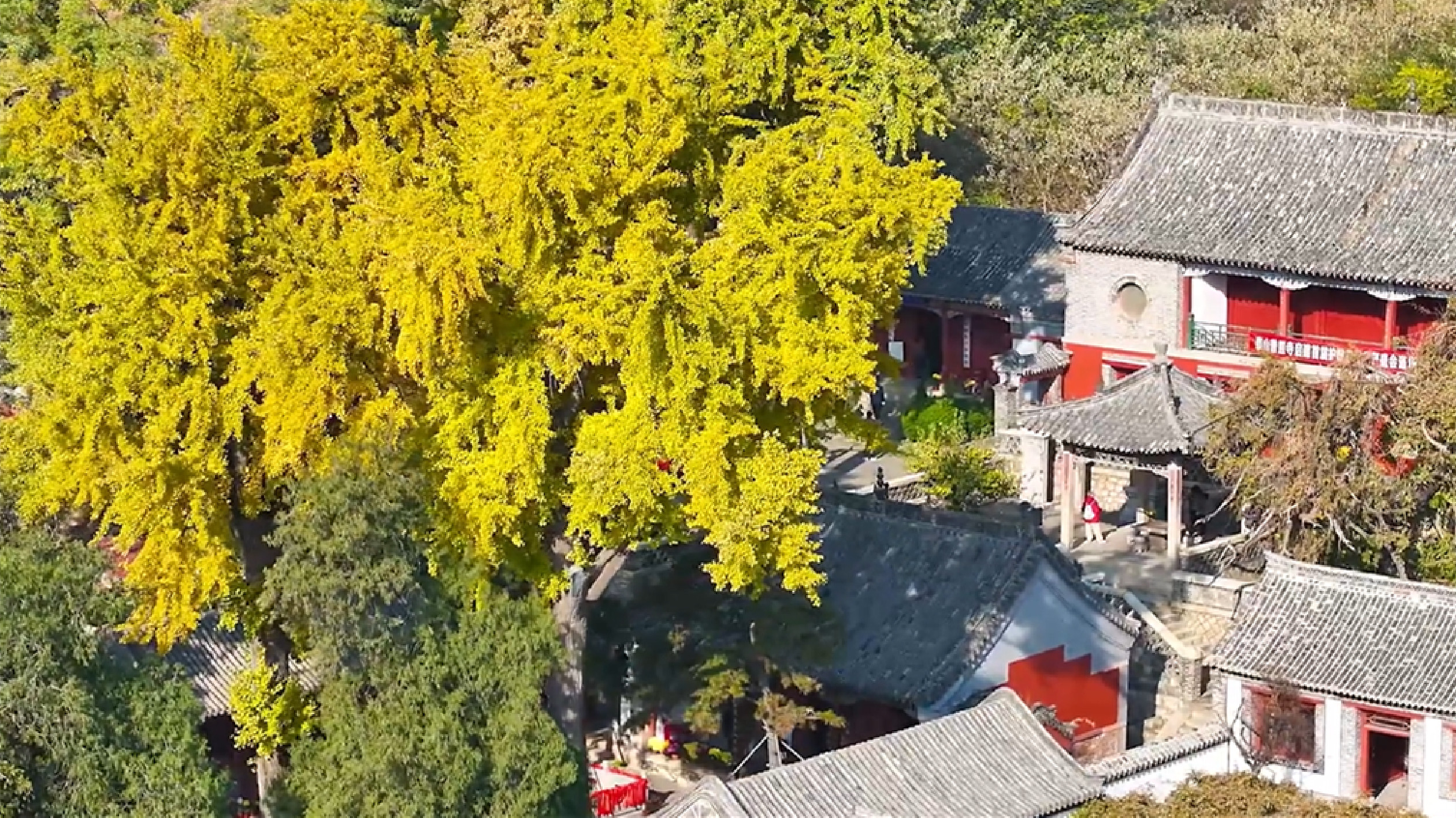 【視聽山東】泰山普照寺