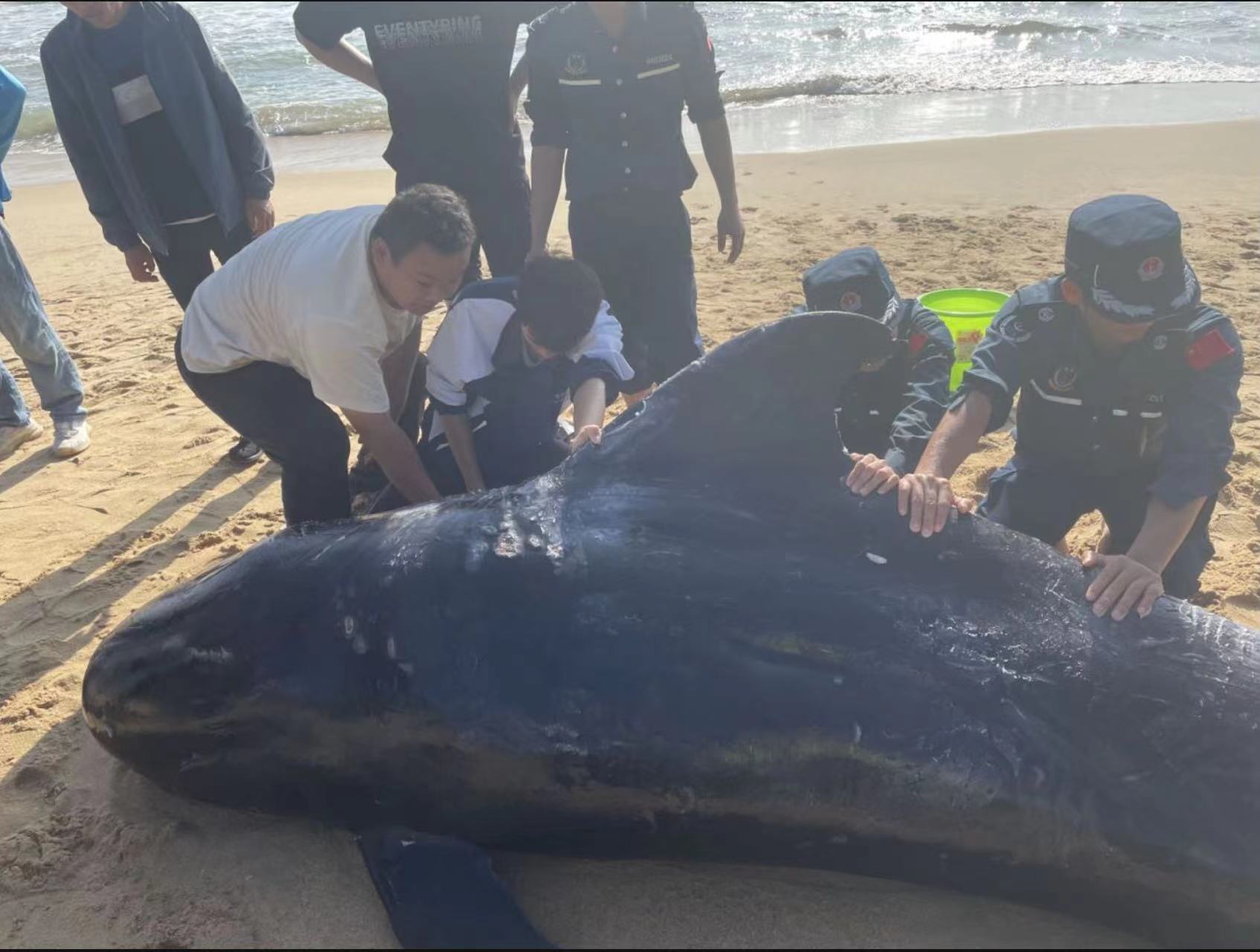 海昌海洋公園積極履行企業社會責任