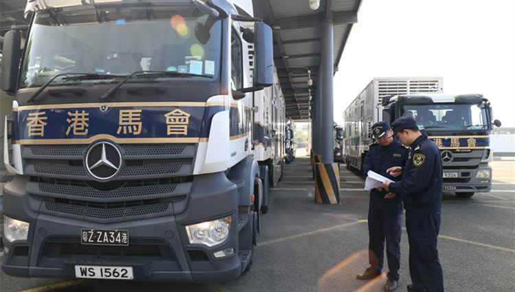 從化海關和深圳灣海關強化合作  全力支持粵港澳大灣區馬產業發展