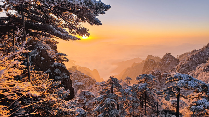 有片|雪落黃山 浪漫成詩