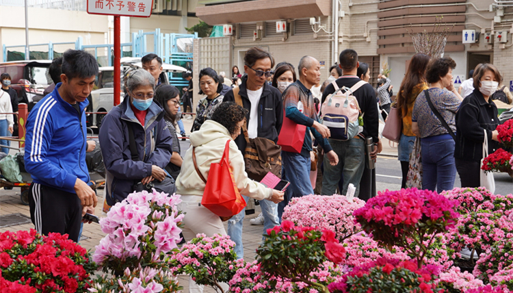 有片 | 市民趁周末備買年花 花墟人如潮湧