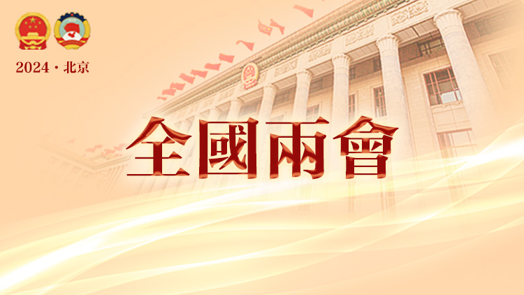 直播回放｜十四屆全國人大二次會議第二場「部長通道」