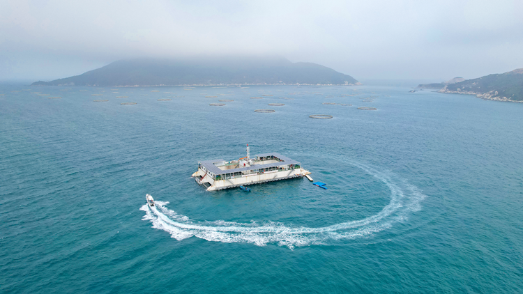 有片 | 登上「澎湖號」 去看霍啟剛關注的新能源海洋牧場平台