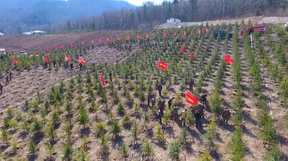 龍江森工集團：綠水映青山 捧上生態「金飯碗」