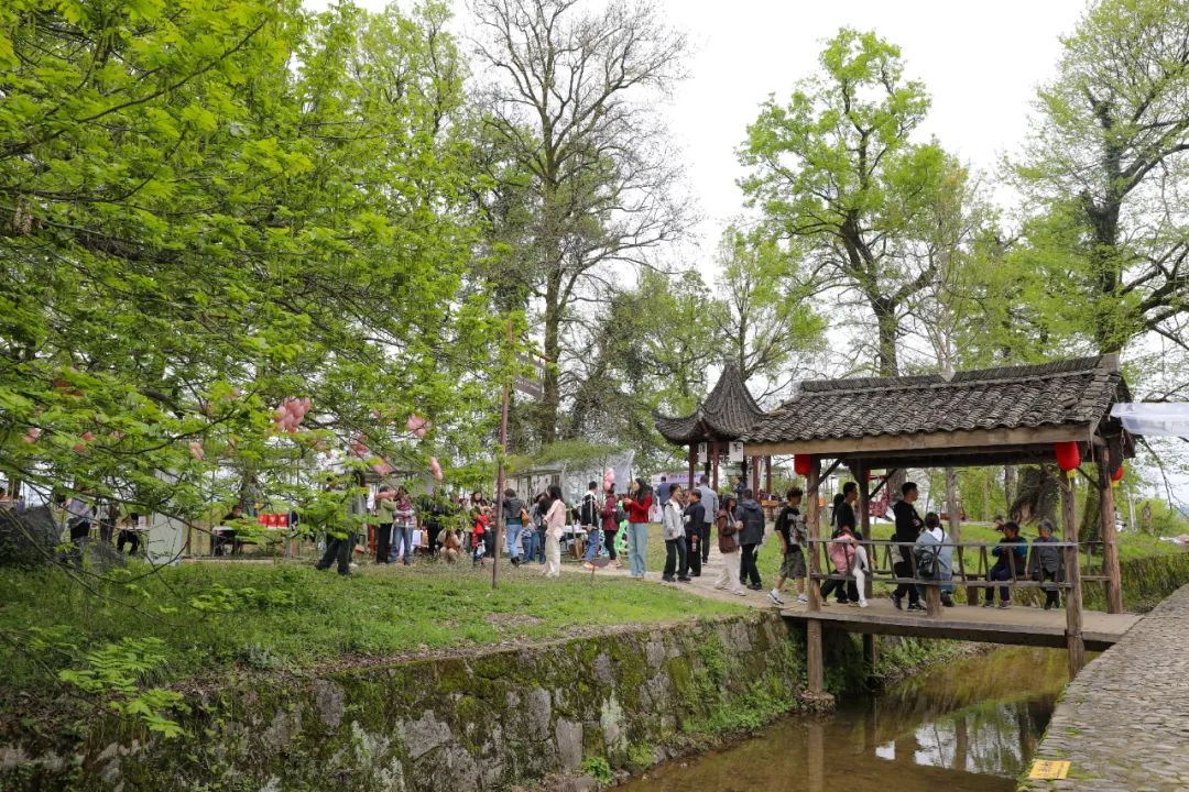 「中國影視村」特色市集引客來  創新鄉村運營的「碧陽探索」