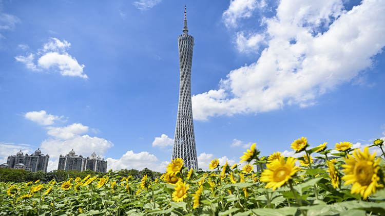 廣東出台方案助力高質量「灣區標準」發布實施