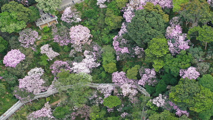 深圳首批地名保護名錄公布 