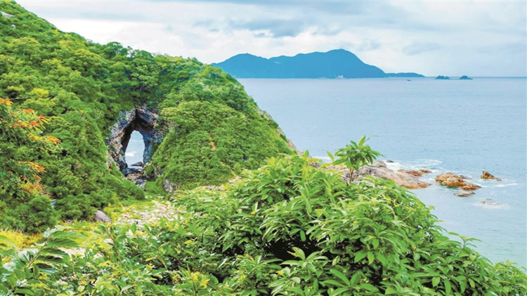 文旅芬芳五月天 約會深圳山海間