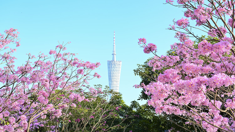 廣東高院首次發布海事審判典型案例