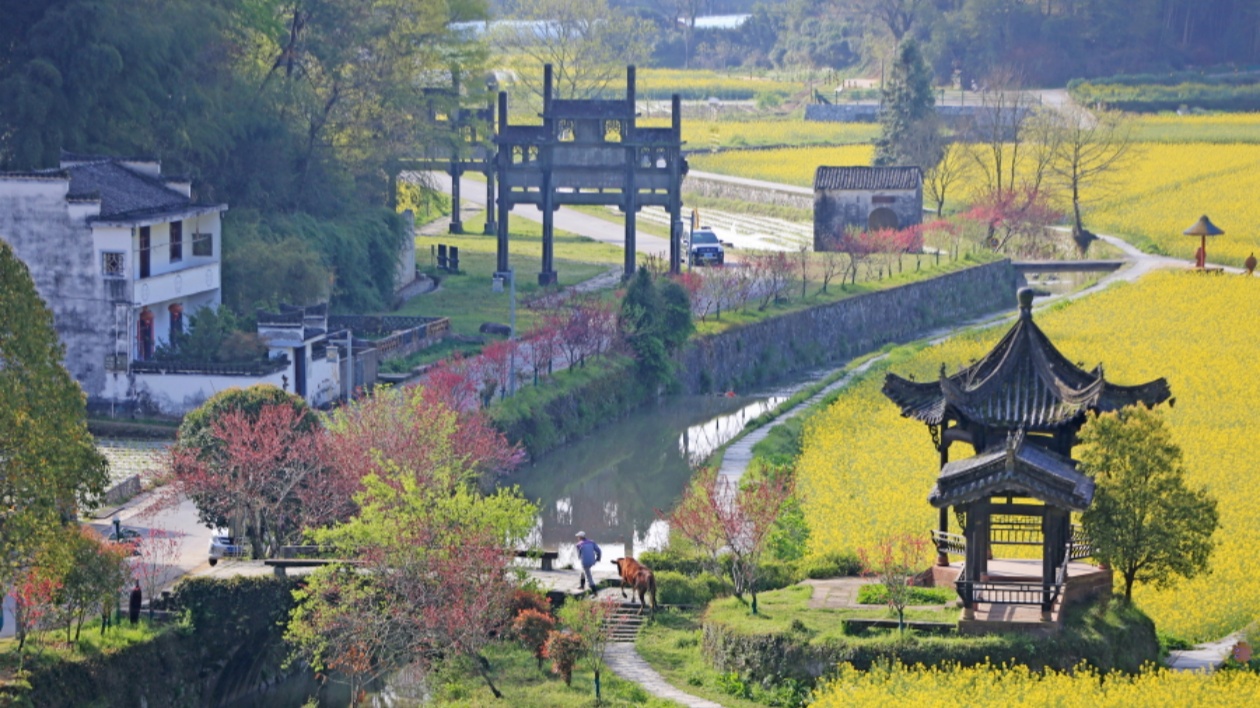 【康養中國】康養「藍海」引得澳門客商青睞  皖徽州區擦亮潛口康養小鎮品牌