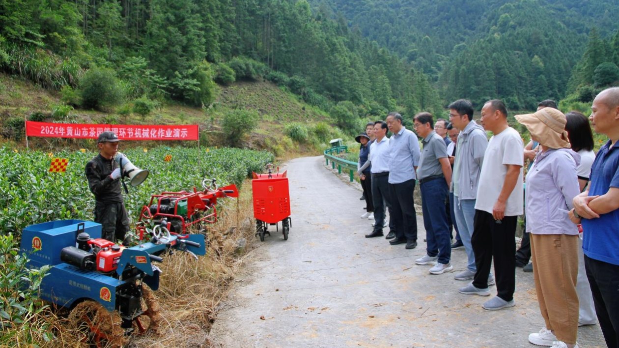 機械化賦能黃山茶產業 徽州茶園開起研討會