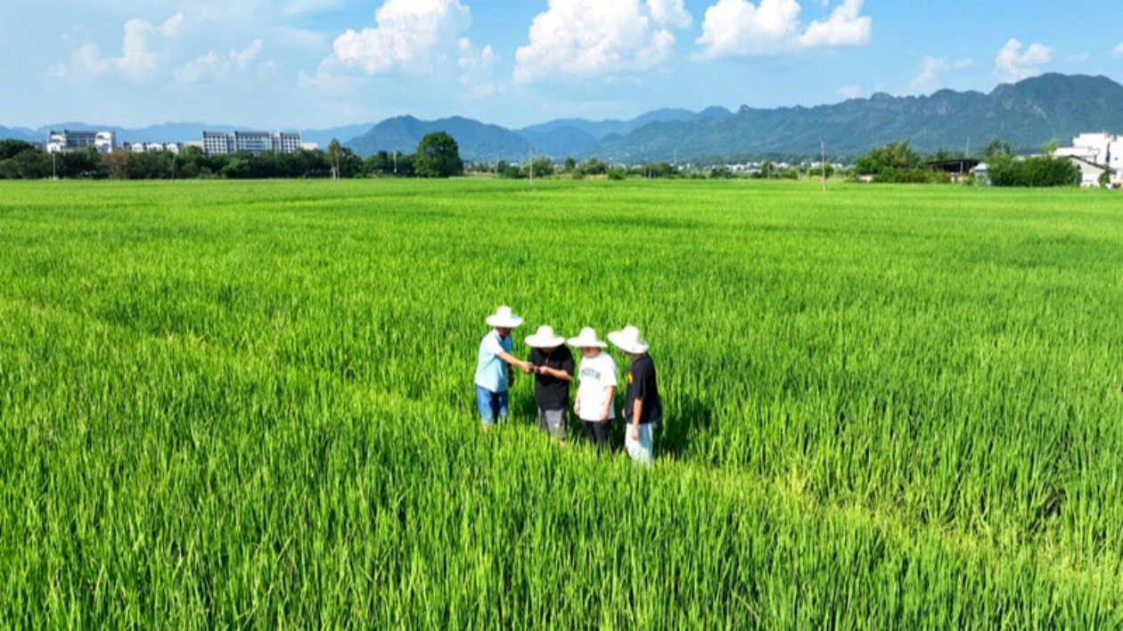 皖黟縣：全面做好夏種夏管