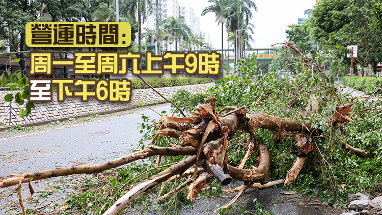 環保署：颱風後塌樹及園林廢物可運往Y·PARK［林·區］臨時收集點處理