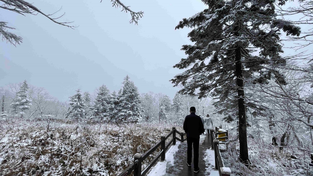 國慶假期首日 龍江森工集團鳳凰山景區瑞雪迎客