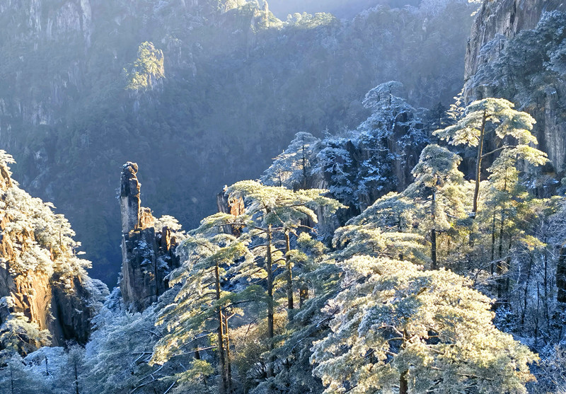 浪漫邂逅美不勝收 黃山冬雪「首秀」