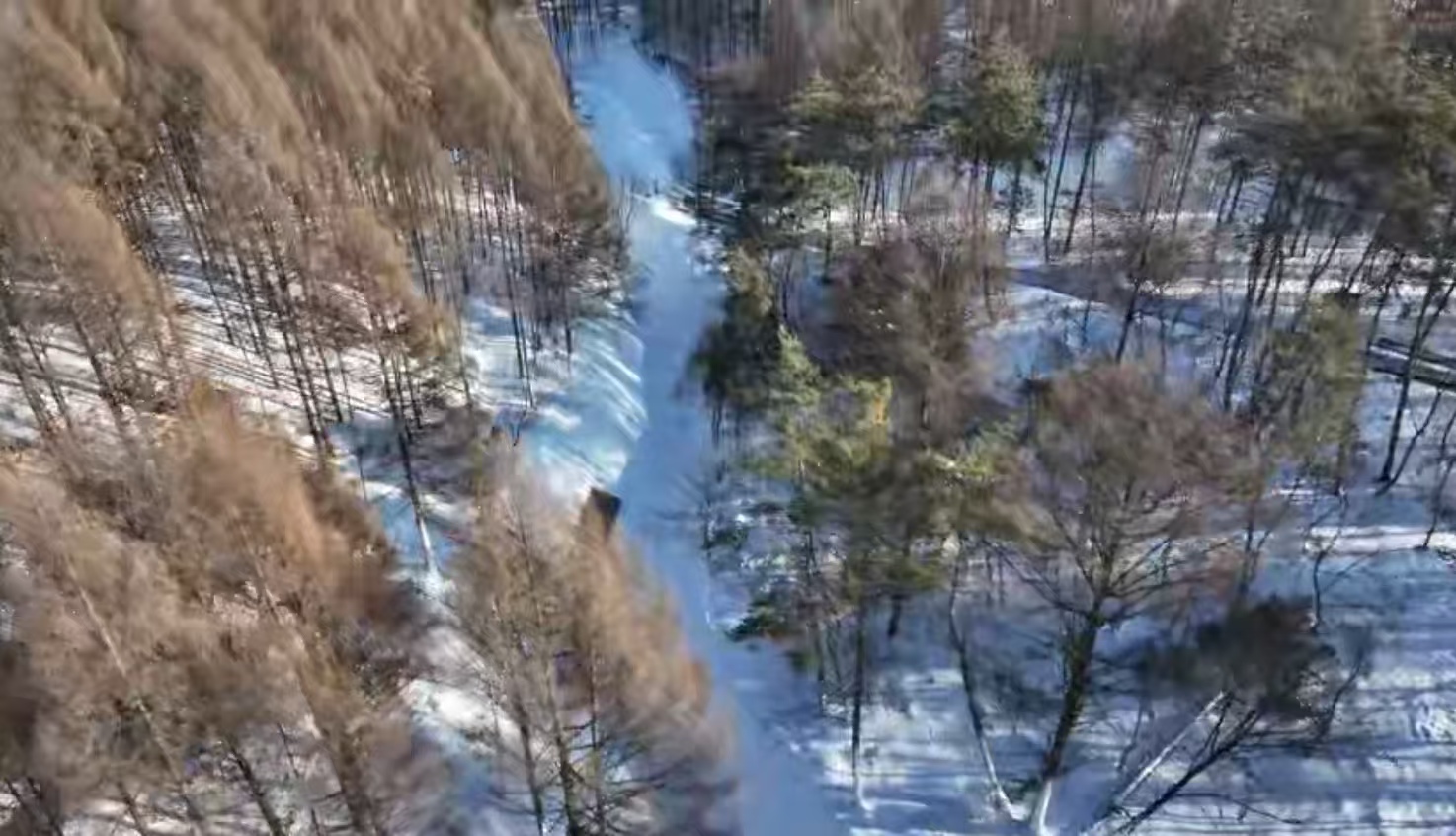 有片 | 撫順清原玉龍溪冰雪大世界煥新迎客 冰雪體驗再升級