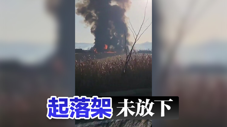 追蹤報道 | 韓國客機撞牆起火事故已致28人死亡 客機疑似撞鳥