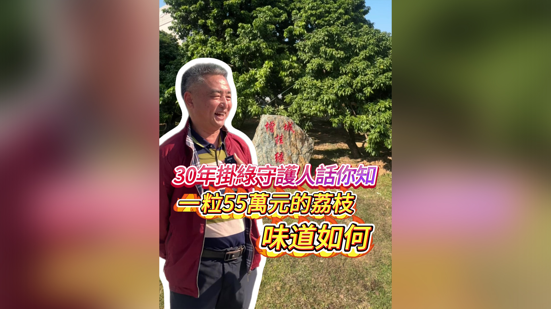 有片｜55萬一顆的荔枝味道如何？30年掛綠守護人話你知