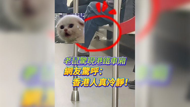 有片 | 老鼠驚現港鐵車廂 網友驚呼：香港人真冷靜