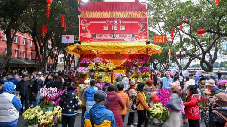 廣州迎春花市「丁財兩旺」 年花年貨銷售1.19億元人民幣