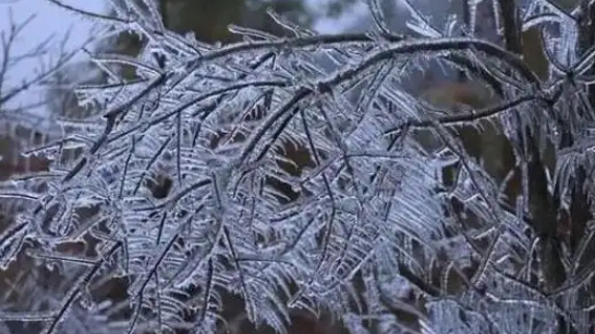 粵北大部分市縣0～3℃！本周末廣東天氣漸轉晴冷