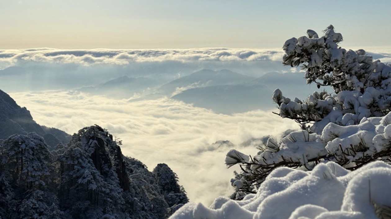 有片 | 皖黃山風景區：雪後初霽 美不勝收