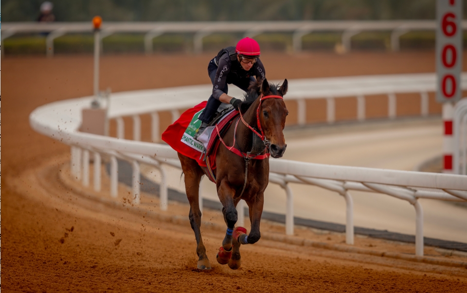 周六沙特盃力求成為首匹現役馬5個賽區摘冠 劉栢輝:浪漫勇士有助促進賽馬旅遊