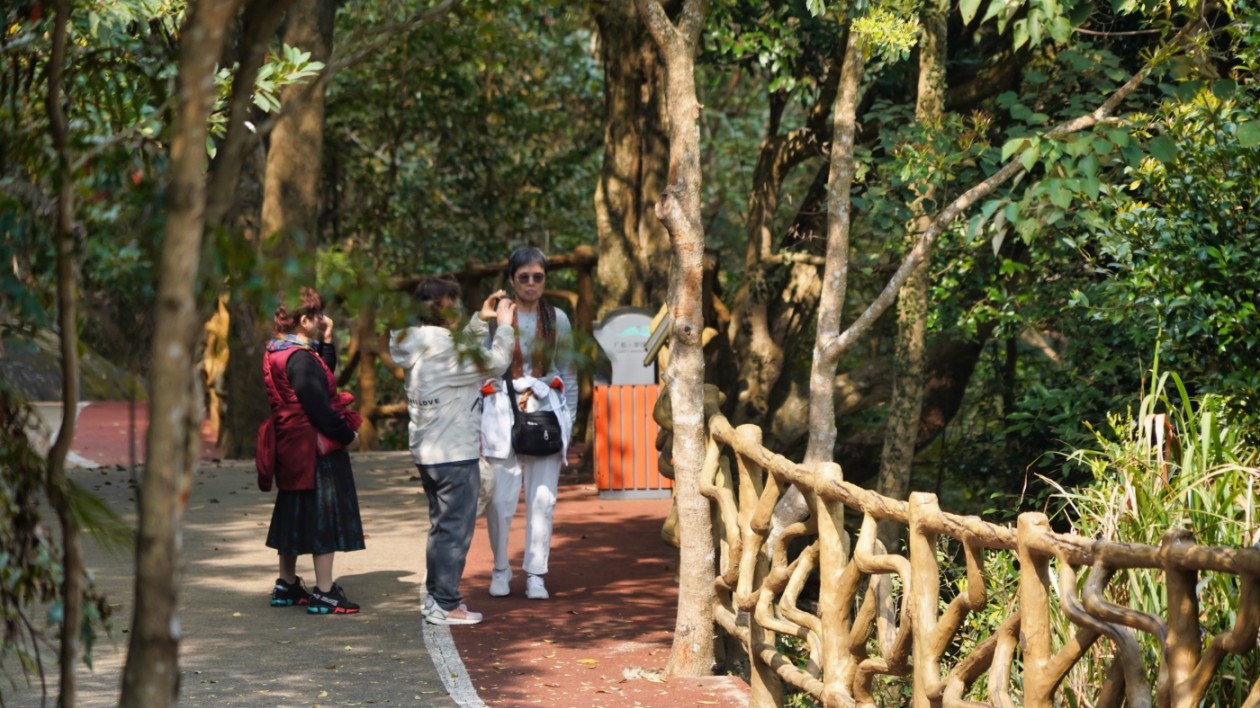 博羅羅浮山開啟「智慧+文化」旅遊模式  紫雲步道文化標識牌賦新能