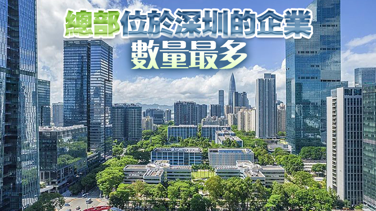 廣東81家企業、粵港澳大灣區108家企業上榜2024胡潤中國500強