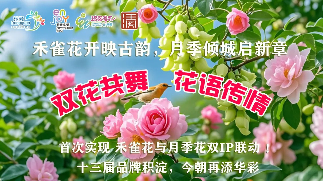 雙花傾城 春約鹿城 | 東莞清溪第十四屆賞花行3月6日啟幕