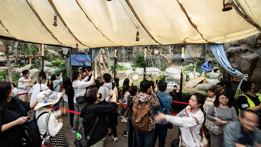 財政預算案｜海洋公園歡迎預算案旅遊相關措施 繼續善用大熊貓及盛事經濟機遇